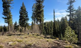 Urban Lane lot 5, Cascade, ID 83611