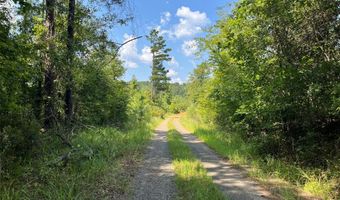 0 Ellis Jones Rd, Bienville, LA 71008