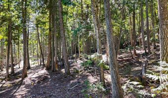 Swan Shores Lane, Bigfork, MT 59911