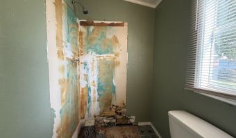 723 Kayroe Rd, Adkins, TX 78101