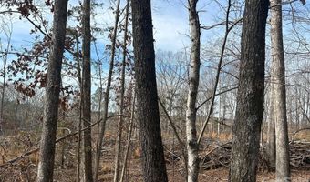 33 Ac Lot A Countryside Dr, Blackstock, SC 29014