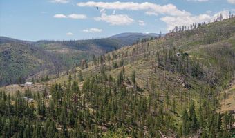 693 Cougar Dr, Bellvue, CO 80512