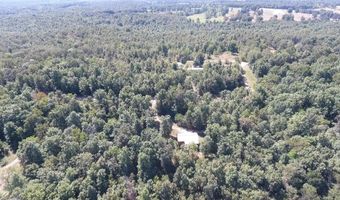 951 E County Road 206, Alton, MO 65606