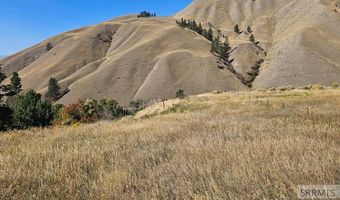 53 Runnin Bear Rd, Carmen, ID 83462