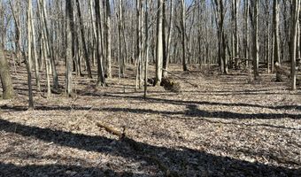 5725 Whitneyville Ave SE, Alto, MI 49302