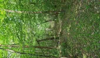 1408 Coleman Mountain Rd, Appomattox, VA 24522