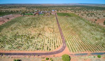 18 N5162, Concho, AZ 85924