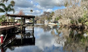 55730 HOLIDAY Cir, Astor, FL 32102