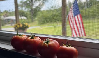 2687 Linda Ln, Alford, FL 32420