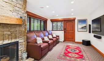 593 Meadowood Dr, Aspen, CO 81611