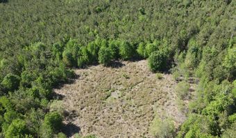 Colice Hall Lane, Ahoskie, NC 27910