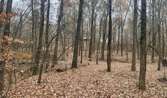 143 Greene Road 610, Beech Grove, AR 72412