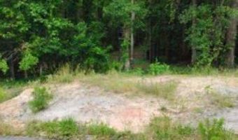 Double Pond Road, Blackville, SC 29817