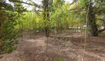 452 QUARTZVILLE Rd, Alma, CO 80420