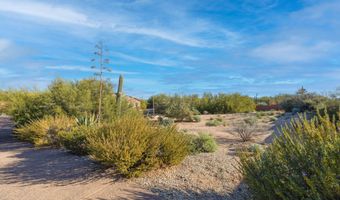 6646 E LONE MOUNTAIN Rd, Cave Creek, AZ 85331