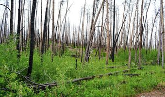2025 Granite Rd, Bellvue, CO 80512
