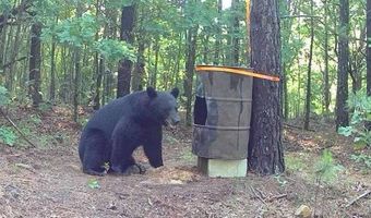 TR 55 56 57 & 23 PINE TREE TRAIL, Albion, OK 74571