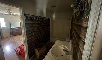 423 Parkwood Ter, Allendale, SC 29810