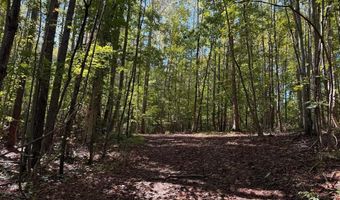 0 Coleman Mountain Rd, Appomattox, VA 24522