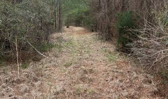 County Road 29, Alberta, AL 36720