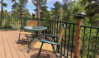131 County Road 90, Allenspark, CO 80510