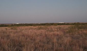 6525 US 180, Anson, TX 79501