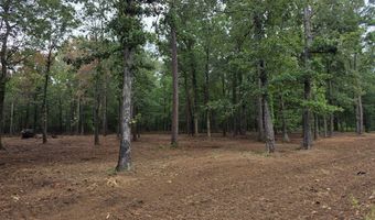 Blume Road lot 9, Alto, TX 75925