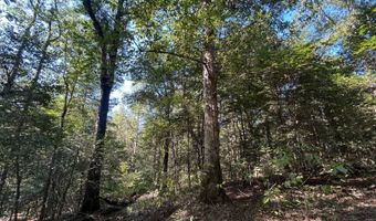 4496 State Hwy 130, Banks, AL 36005