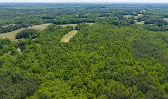 1239 Pointer Rd, Alton, VA 24520