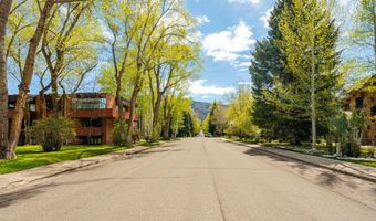 400 W Hopkins Ave 5, Aspen, CO 81611