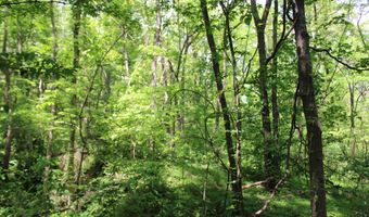 1800 Highway 4 E, Ashland, MS 38603