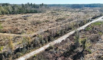 Tbd A Midway Street, Bamberg, SC 29003
