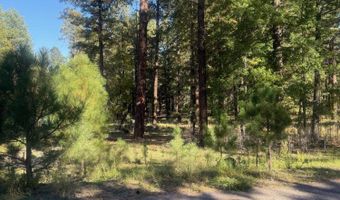 7 2190, Alpine, AZ 85920