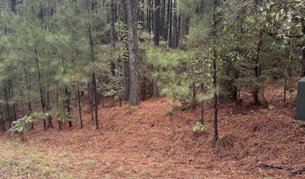 19 Pizarro Dr, Hot Springs Village, AR 71909