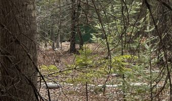 6002 Wildwood, Alger, MI 48610