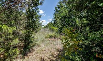 2812 COUNTY ROAD 805B, Keene, TX 76031
