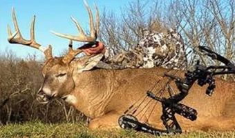 652 Nd St, Albia, IA 52531