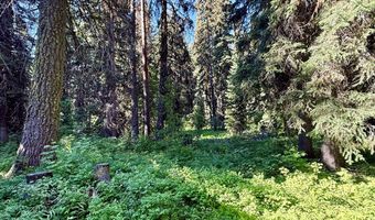 1321 W Mountain Rd, Cascade, ID 83611