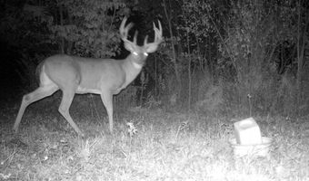 767 County Road 500, Ashland, OH 44805