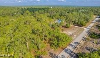 2109 Irving Ave, Alva, FL 33920