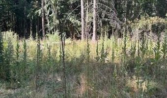 108 W Kamloop, Bayview, ID 83803