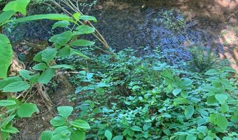 7700 Poole TRACT B, Alto, GA 30510