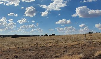 1 County Road 5088, Concho, AZ 85924
