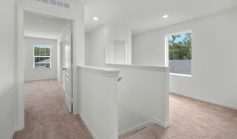13390 Tula Loop Plan: Driftwood, Astatula, FL 34705
