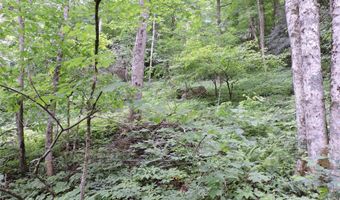 963 Melton Branch Rd, Bakersville, NC 28705