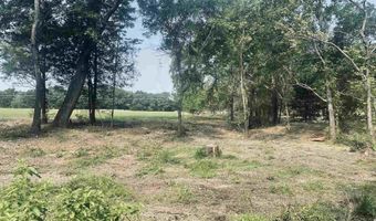 LOT 6 Leach Woods East CR 1560, Alba, TX 75410