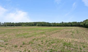 0 Pleasant Plain Rd, Ayden, NC 28513