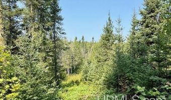 TBD Net River, Amasa, MI 49903