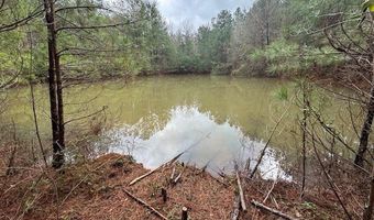 920 A Auburn Dr, Bogue Chitto, MS 39629