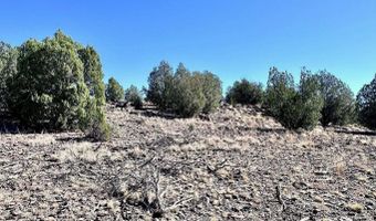 145 SW Reckless Ln, Ash Fork, AZ 86320